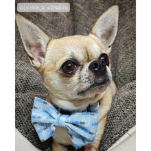 Load image into Gallery viewer, Bowtie - Little Man
