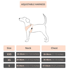 Load image into Gallery viewer, Adjustable Harness Sizes
