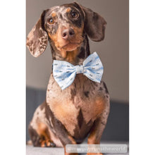 Load image into Gallery viewer, Bowtie - Little Man
