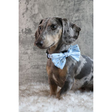 Load image into Gallery viewer, Bowtie - Little Man
