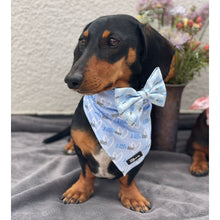 Load image into Gallery viewer, Bandana - Little Man
