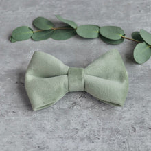 Load image into Gallery viewer, Bowtie - Eucalyptus
