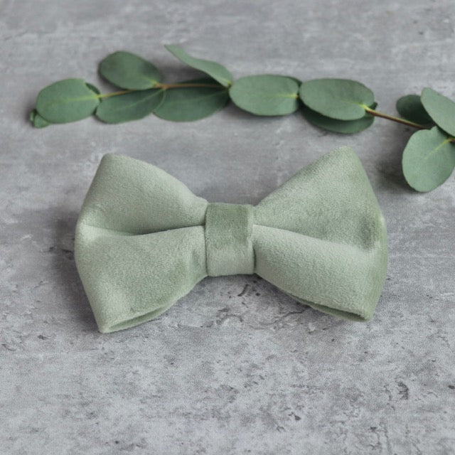 Bowtie - Eucalyptus