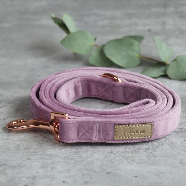 Leash - Lilac