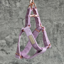 Load image into Gallery viewer, Step in Harness - Lilac
