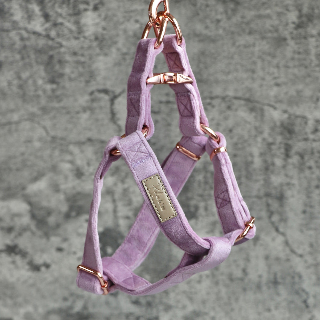 Step in Harness - Lilac